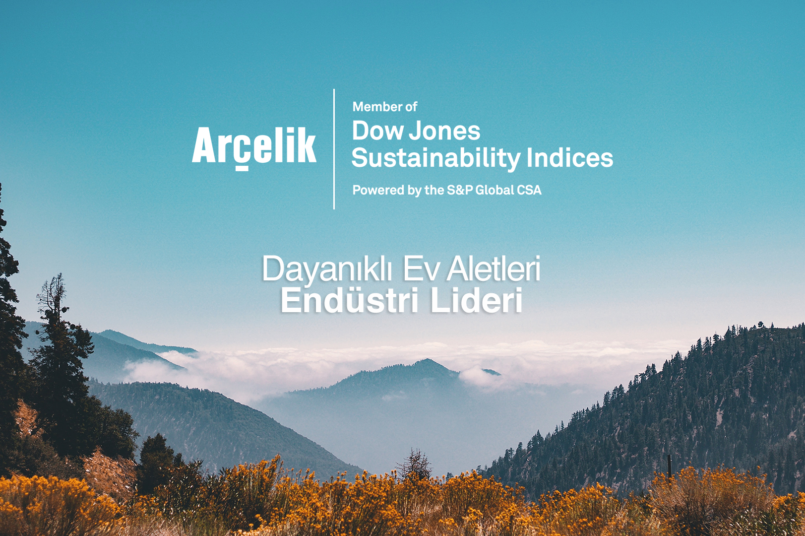 arçelik